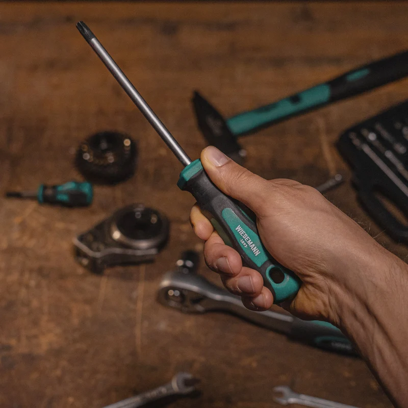 TX Schraubendreher Set für TORX I 81147