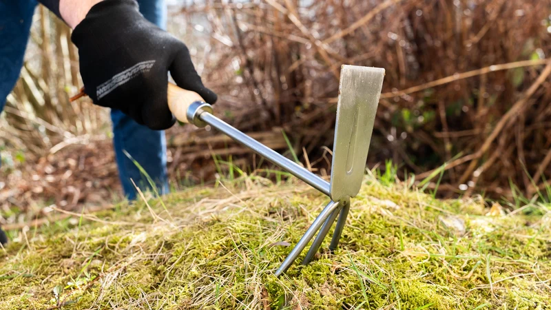 Doppelhacke, mit Holzgriff