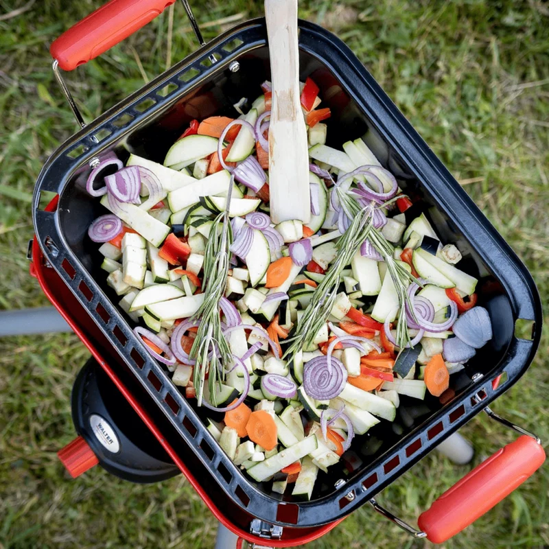 Camping- und Party-Gasgrill