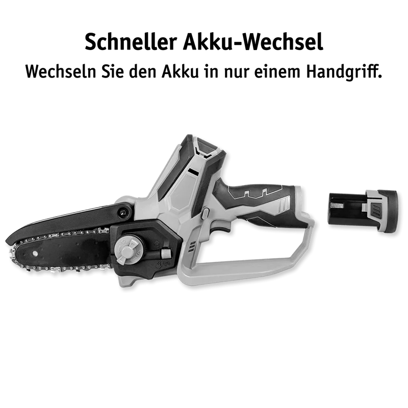 Li-Ion Akku Entaster 12 V