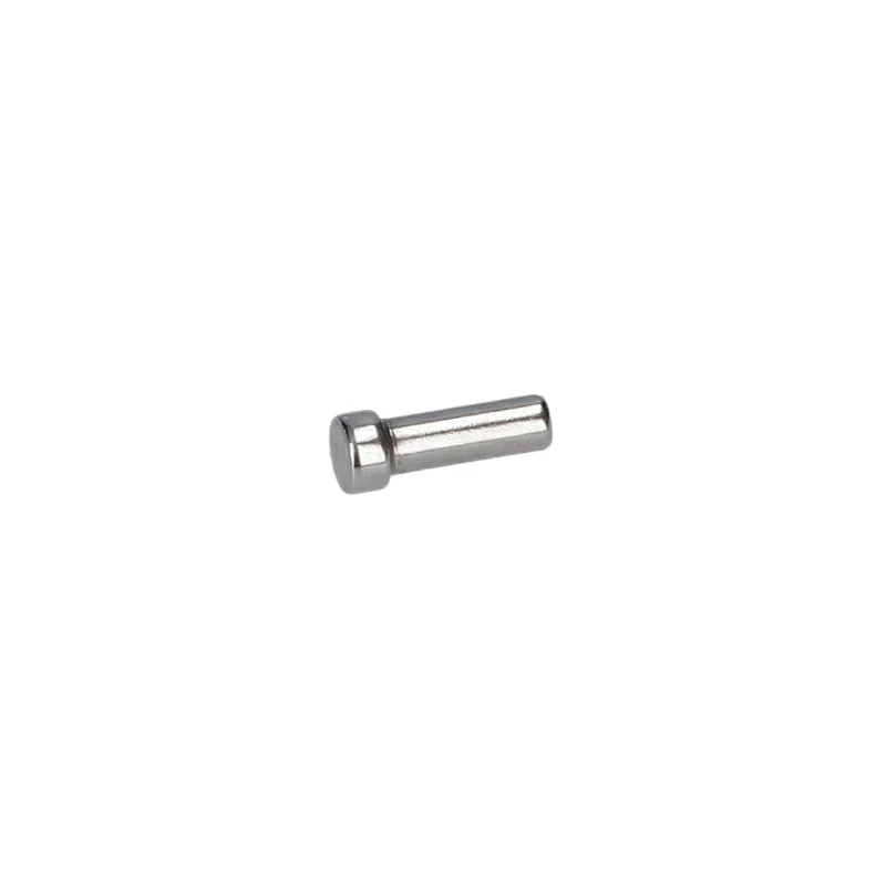 Bosch Steckerstift für GSA 1100 E, PSA 700 E, PSA 900 E, PSA 7100 E (Säbelsäge Ersatzteil)