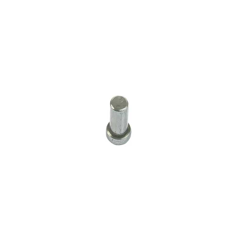 Bosch Steckerstift für GSA 1100 E, PSA 700 E, PSA 900 E, PSA 7100 E (Säbelsäge Ersatzteil)