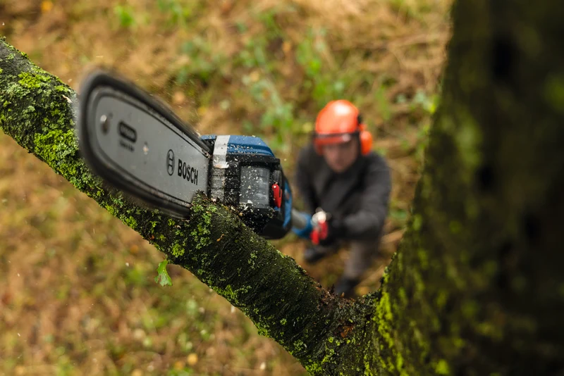 Bosch Akku-Teleskop-Kettensäge PRO GKE 18V-25 TP (Solo im Karton)