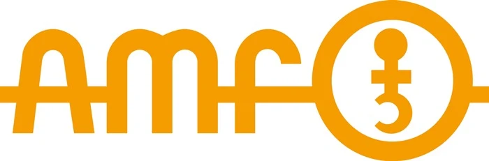 AMF Spannpratze Nr. 6321 für T-Nut 12 mm ( 4000833065 )