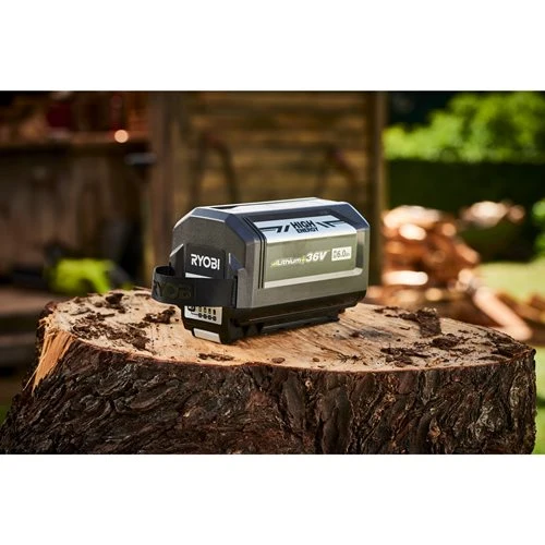 RYOBI RY36BC60A-160 MAX POWER Akku-StarterSet (5133004706)