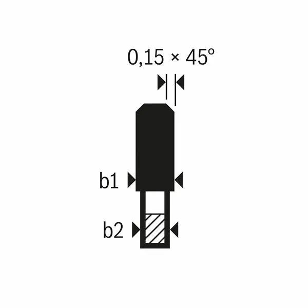 Bosch Kreissägeblatt Expert für Fibre Cement, 160 x 20 x 2,2 mm, 4