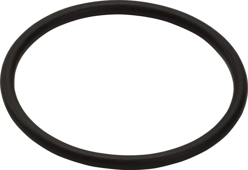 HANSGROHE O-Ring 35 x 2,5 mm – Präzise Dichtung für Sanitärarmaturen