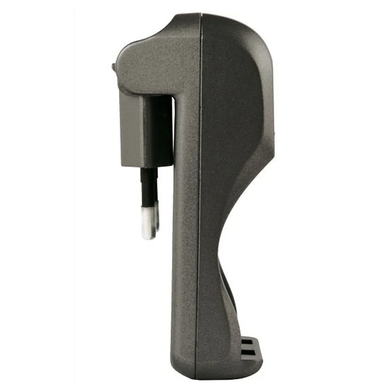Camelion Stecker-Ladegerät BC-1001A inklusive 2 Stück NiMH Akkus Micro AAA, 800mAh