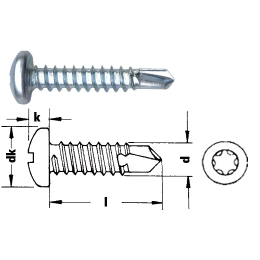 Bohrschraube Linsenkopf mit Torx verzinkt