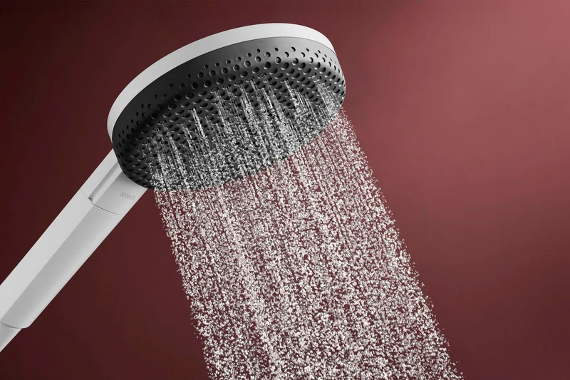 HANSGROHE Brauseset Raindance Alive Select S 125 3jet EcoSmart Unica 650mm