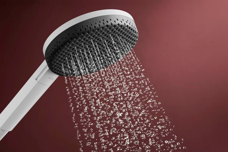 HANSGROHE Brauseset Raindance Alive Select S 125 3jet EcoSmart Unica 650mm