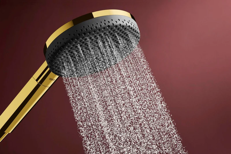 HANSGROHE Brauseset Raindance Alive Select S 125 3jet EcoSmart Unica 650mm