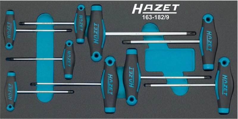 HAZET Werkzeugmodul 163-182/9 9-teilig Schraubendreher-Satz Einlage bestückt