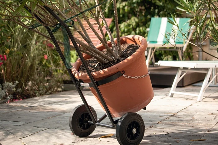 Rothenberger Industrial Flaschentransportwagen ( 9000443080 ) L485xB500xH1020mm für 5-11 kg Propangasflasche