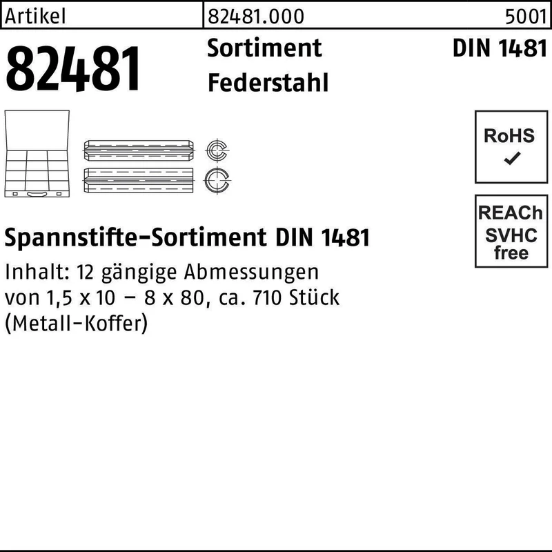 Spannstiftsortiment DIN 1481 710tlg. Federstahl von F. REYHER – Umfangreiches Sortiment