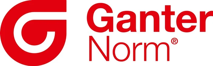 Ganter Haltemagnet GN 50.3 ( 4601002849 ) d1 63 - 3 mm Hartferrit HF 5 Stück