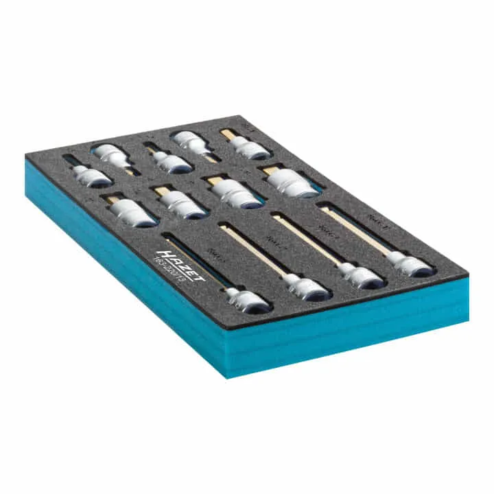 HAZET Werkzeugmodul 163-220/13 13-teilig ( 4000871198 )